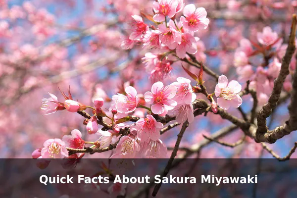 Quick Facts About Sakura Miyawaki